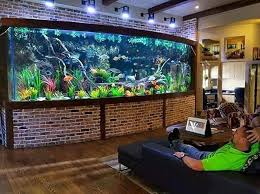 The Perfect Place To Sit Back And Relax Photo From Aquarium Voronezh Aquarium Fishtank Freshwater Freshwatera Goruntuler Ile Akvaryumlar Ev Dekoru Tasarim Evler