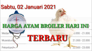 Update harga ayam jenis broiler hari ini, berapa harga ayam per potong dari pedagang dan peternak? Harga Ayam Broiler Hari Ini Sabtu 02 Januari 2021 Youtube