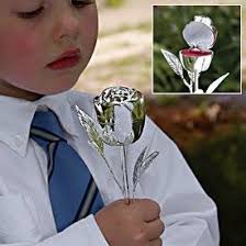 Marisa Compton (marisacomp585)