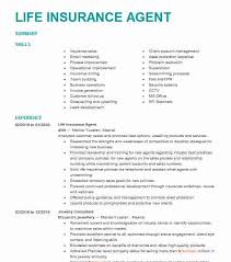 An insurance agent resume must show skills in sales and customer service. Life Insurance Agent Resume Example Agent Resumes Livecareer