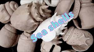 #seashells #clayseashells #coldporcelainclaysea shells using homemade airdry clay without mould/cold porcelain clay sea shells by creativecathey friends. How To Make A Clay Sea Shell Sculpture Youtube
