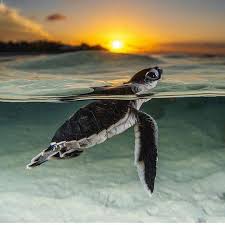 Pin On Galasam Agoturismo