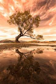 My Name Is Treegirl And I Love Trees I Have Spent The Last Twenty Years Photographing Myself Intertwined With Some Of Th Wild Nature Nature Nature Photography