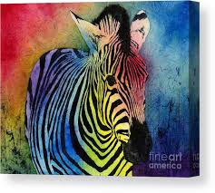 I'm rainbow zebra, or rz for short. Rainbow Zebra Canvas Print Canvas Art By Hailey E Herrera