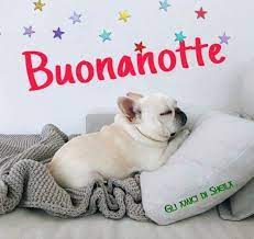 Pin Di Knecht Rubrecht Su Olasz Buongiorno Divertente Buonanotte Buona Notte