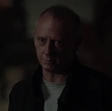 Quindi... Lorelai ha detto che Jane e Red John erano molto simili. In che  modo esattamente Jane è simile a Red John, a parte l'ovvio? : r/TheMentalist