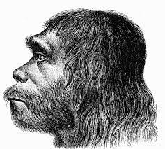 The caves that prove Neanderthals were cannibals