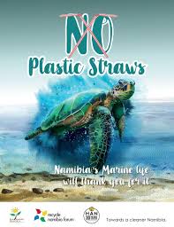 ⇨ instead of throwing away plastic straws that stores give us, why won't we refuse taking them? Say No To Straws Environment Windhoek Express