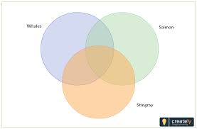 Compare And Contrast Chart Example Created Using A 3 Circle Venn Diagram Edit Text Cha Compare And Contrast Chart Venn Diagram Template 3 Circle Venn Diagram