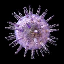 Epstein Barr Virus Ebv Naturheilzentrum Breidenbach