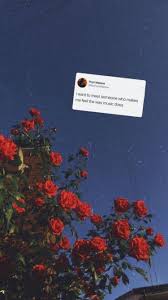 We did not find results for: Sad Tweets Wallpapers Wallpaper Cave