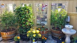 Maybe you would like to learn more about one of these? How To Build Strawberry Milk Crate Tower The Garden