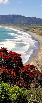 Hicks Bay Is Located On The East Cape 186km From Gisborne Of New Zealand New Zealand Travel Scenery Nature