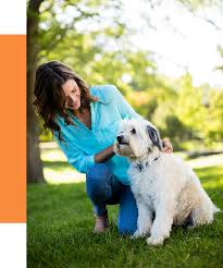 Maybe you would like to learn more about one of these? Best Veterinary Clinic San Antonio Tx Saspay Neuter