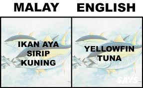 Contextual translation of ikan patin into english. What S Ikan Patin In English Here Are 17 Translations Of Fish Malaysians Love