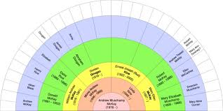 Genealogy Fan Chart Excel Lamasa Jasonkellyphoto Co