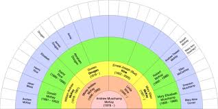 Genealogy Fan Chart Excel Lamasa Jasonkellyphoto Co