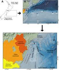 Blair county game fish and forestry assn inc. Frontiers Novel Application Of A Compound Specific Stable Isotope Cssi Tracking Technique Demonstrates Connectivity Between Terrestrial And Deep Sea Ecosystems Via Submarine Canyons Marine Science