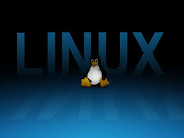 Image result for linux penguin wallpaper