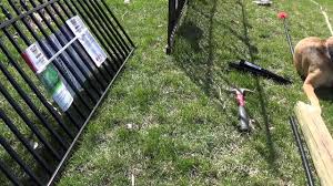 Fence line feeder for goats. Grand Empire Panel Fence Set Up Youtube