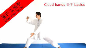 In this article, we have covered how to install lamp stack with free ssl certificates and deploy wordpress on ubuntu linux server. Tai Chi Chen Cloud Hands Basics Youtube