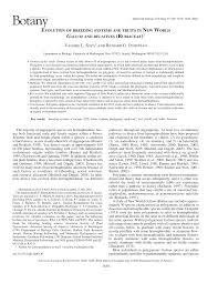 Image result for Galium scabrellum