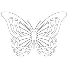 Butterfly color is some of the most striking in nature. Dx0xugtiypl1m