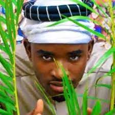 Check spelling or type a new query. Jin Dadi Sabo Songs Download Jin Dadi Sabo Mp3 New Songs And Albums Boomplay Music