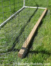 However, if you are a diy guru, you can build a rabbit hutch or cage with simple diy plans and guides. Rabbit Run How To Build An Outdoor Rabbit Pen Or Run With Pvc