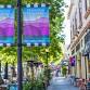 Palo Alto Bridge Super Silver Sectional event image