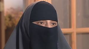 CNN: Hebah Ahmed, MuslimMatters Blogger, Debates Mona Eltahawy over French  Niqab (Burka) Ban - MuslimMatters.org