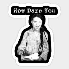 How dare you continue to look away and come here saying that you're doing enough when the politics and. Greta Thunberg How Dare You Greta Thunberg Sticker Teepublic