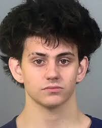 18-year-old ALEXANDER MARINCUCCI from Manatee County, Florida was arrested 