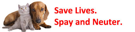 We provide low cost pet vaccinations across texas, focused in the dfw area. South Georgia Low Cost Spay Neuter Clinic Website Home Page