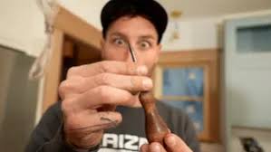 Marvin vs Integrity Window Review