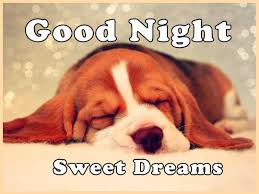 Good night meme, funny goodnight memes for him and her. Meme Good Night Funny Pics Novocom Top