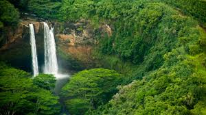 Hourly local weather forecast, weather conditions, precipitation, dew point, humidity, wind from weather.com and the weather channel. 10 Top Things To Do In Kapaa Hi 2021 Attraction Activity Guide Expedia