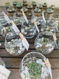 Succulent Wedding Bonbonniere Such A Cute Idea For Lasting Wedding Favours Succulent Wedding Wedding Favors Rustic Mason Jars Succulent Wedding Favors