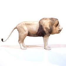 Lion Cat 3d Model Lion Cat 3d Model Cats