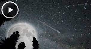 Like who knows how many things these days, tarragon has been found to possibly have carcinogenic and/or mutagenic effects in the lab (animals). Perseid Meteors Vs The Supermoon Science Mission Directorate