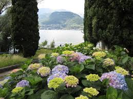Prévisions établies en heure locale à 21h00 | prochaine mise à jour à 00h00. Lacs Italiens Meilleure Periode Pour Le Climat Et Les Fleurs Climat Et Meteo Italie Voyage Forum