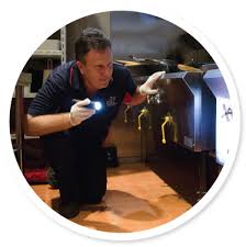 If an infestation does take hold before you recognize the signs, be sure to hire a professional pest. Signs Your Restaurant Has A Pest Problem Jim S Termite And Pest Control South Australia