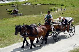 Hochzeit Hochzeitskutsche Obergruberhof