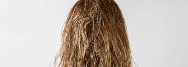 If you're susceptible to dry hair, breakage or split ends, heat styling can be the cause. Deal With Oily Roots And Dry Ends Nohl Sll
