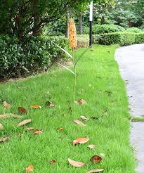 We did not find results for: Metal Corn Door Decor Hanging Autumn Harvest Thanksgiving Decoration Indoor Outdoor Front Door Decor Home Kitchen Garden Decor 14 5 H Metal Corn Fall Decor Decorative Garden Stakes Patio Lawn Garden Brunoarruda Com Br