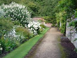 The White Border Garden At Highclere Castle Castle Garden White Gardens Downton Abbey Garden