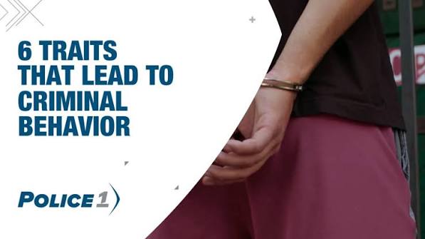 6 traits that lead to criminal behavior: insights for law enforcement
