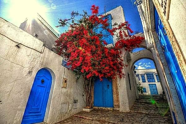 El encanto de Sidi Bou Said - Navartur Reyno de Navarra