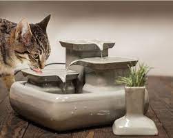 trinkbrunnen fur katzen 5 5 liter aus keramik trinkbrunnen katze trinkbrunnen katzen