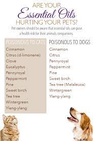 Pin By Danielle Dittmer On Mother Earth Living Essential Oils Dogs Essential Oils Cats Are Essential Oils Safe